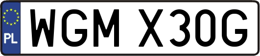 WGMX30G