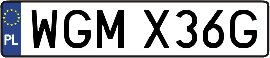 WGMX36G