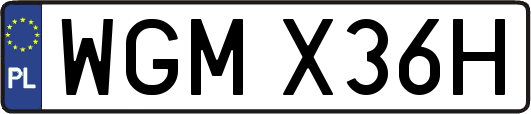 WGMX36H