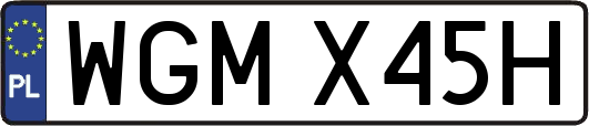 WGMX45H