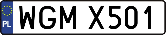 WGMX501