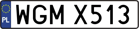 WGMX513