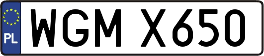 WGMX650