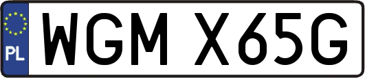 WGMX65G