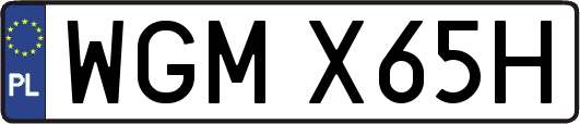 WGMX65H