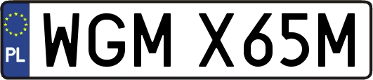 WGMX65M