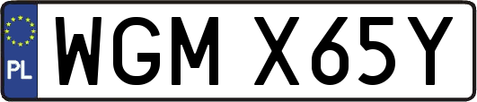 WGMX65Y