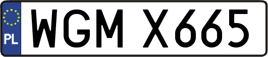 WGMX665
