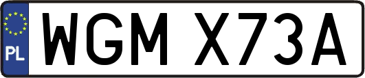 WGMX73A