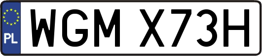 WGMX73H