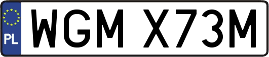 WGMX73M