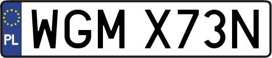 WGMX73N