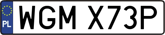 WGMX73P
