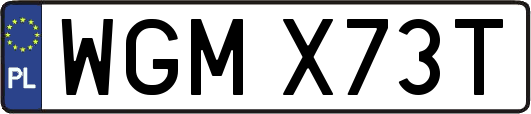 WGMX73T