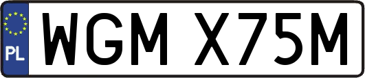 WGMX75M