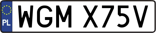 WGMX75V