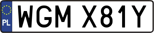 WGMX81Y
