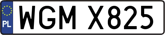 WGMX825