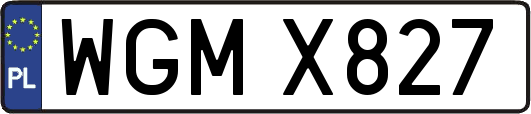 WGMX827