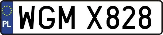 WGMX828