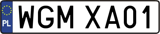 WGMXA01