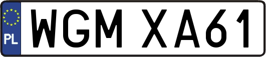 WGMXA61