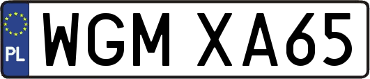 WGMXA65