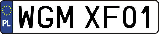 WGMXF01