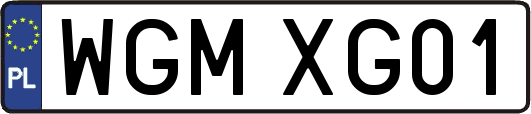 WGMXG01
