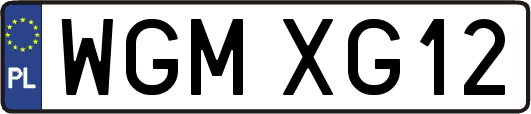 WGMXG12