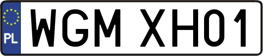 WGMXH01