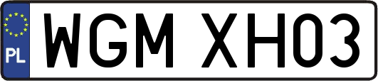 WGMXH03
