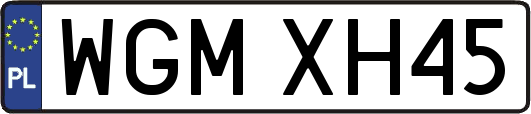WGMXH45