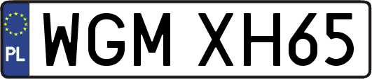 WGMXH65