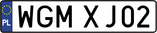 WGMXJ02
