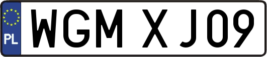 WGMXJ09