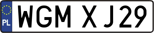 WGMXJ29