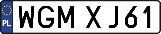 WGMXJ61