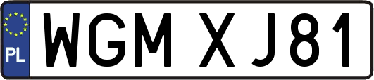 WGMXJ81