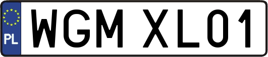 WGMXL01