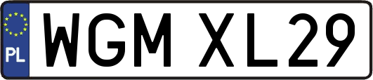 WGMXL29