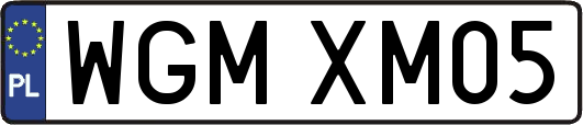 WGMXM05