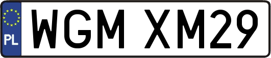 WGMXM29