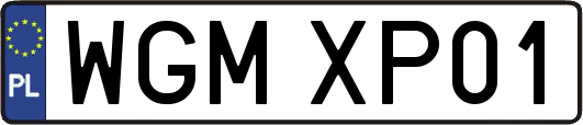 WGMXP01