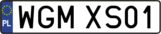 WGMXS01