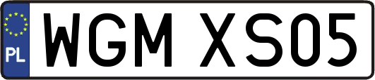WGMXS05