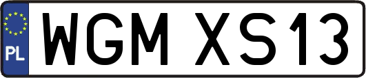 WGMXS13