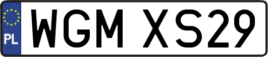 WGMXS29