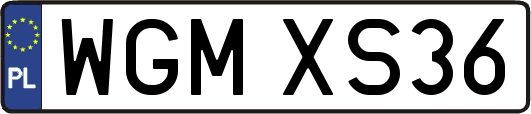 WGMXS36