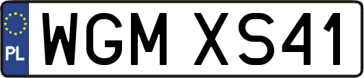 WGMXS41
